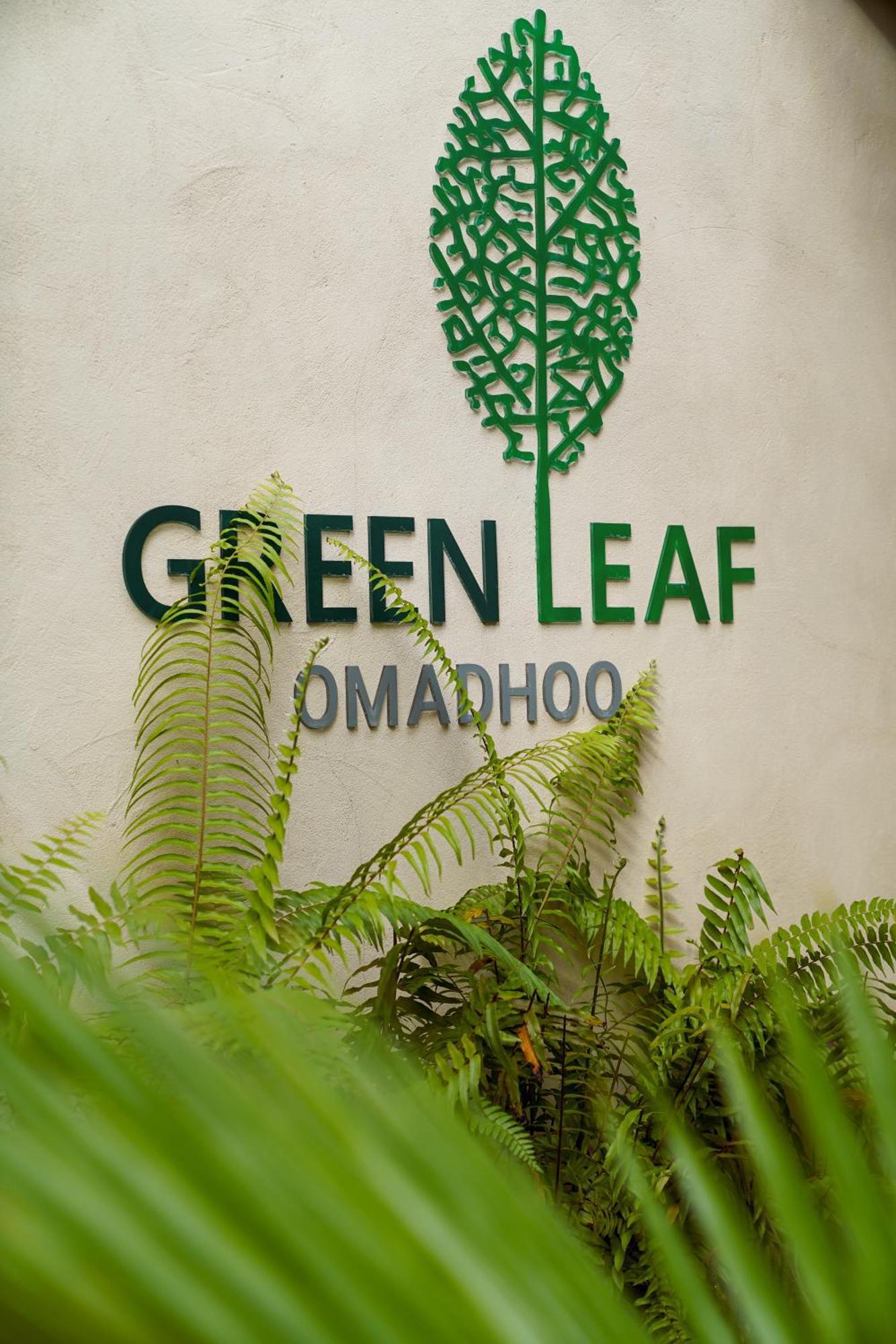 Green Leaf Guest House - Omadhoo 外观 照片